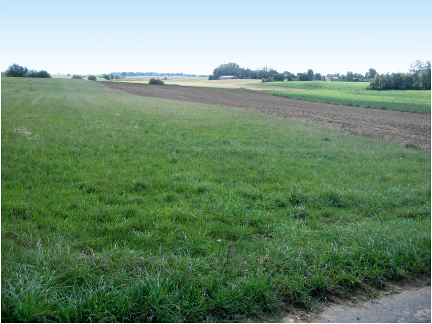 The area of Bayonet Trench/Eiserner Riegel today (Egbert Sandrock)
